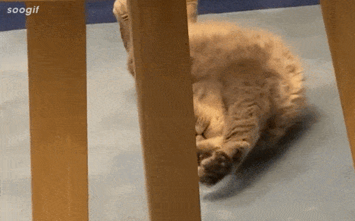 517_322gif 动态图 动图