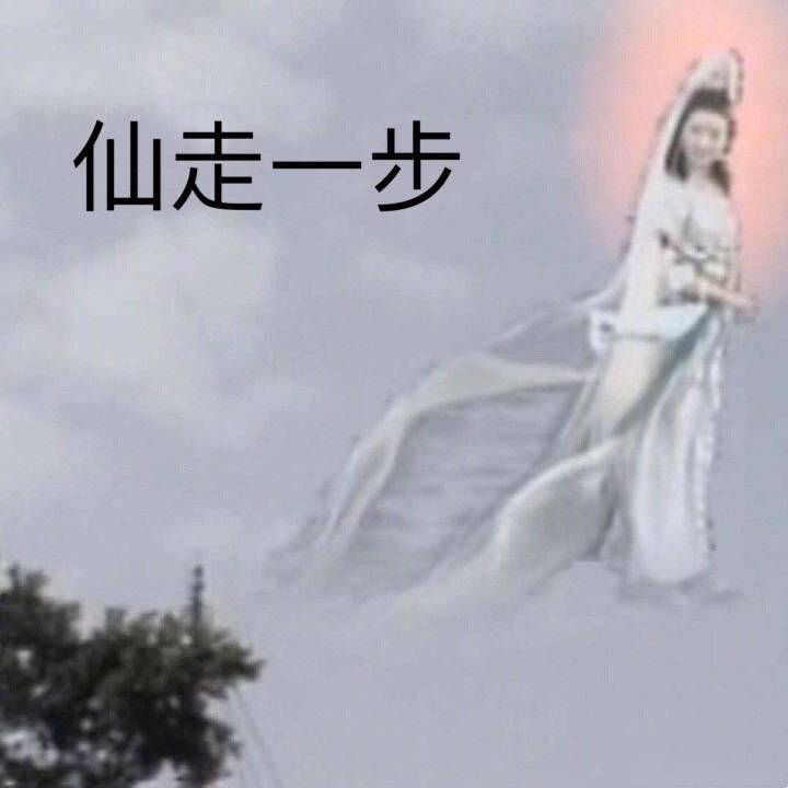 学生返校后，宿舍都有鸟窝了！同学们留言大亮