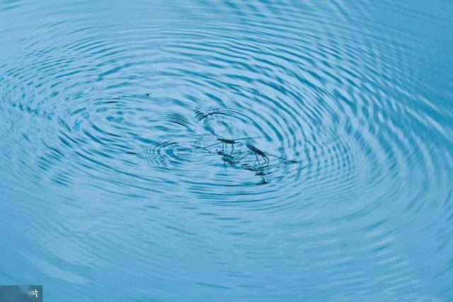 把水的波纹当"密码,在水面进行"水上芭蕾"的"微型滑水运动员"