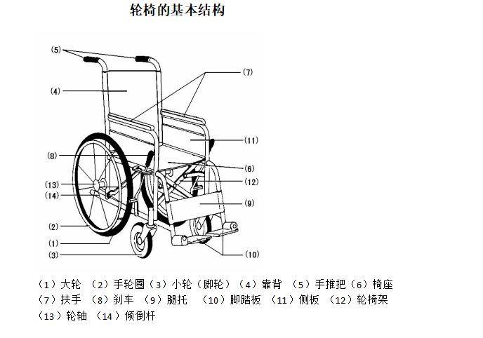 不同疾病损伤与轮椅选择