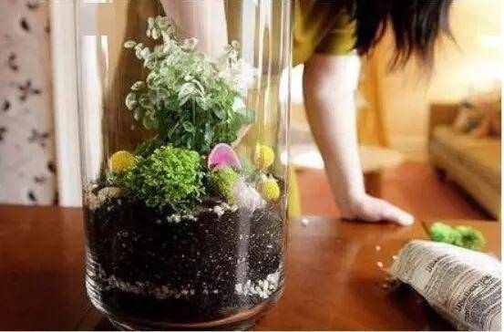 「植物」让种植成为孩子探索自然的起点！【植物角】60种植物角新玩法