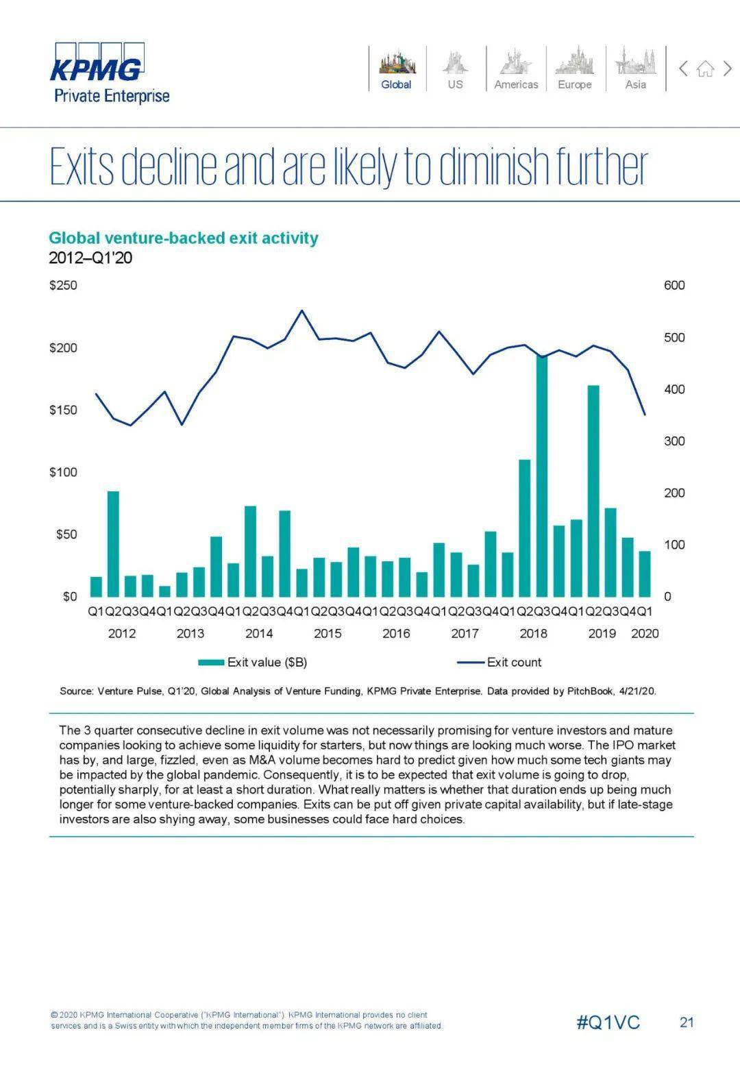 2020英国国第一季度g_英国短毛猫