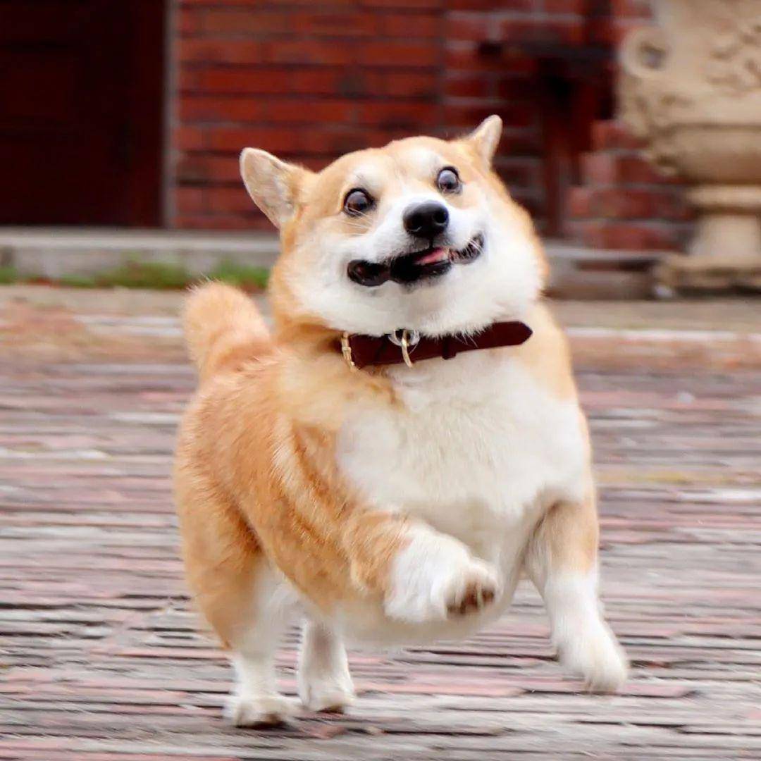 1e69df691b8648cc91b2fe6b9f7f4050.jpeg