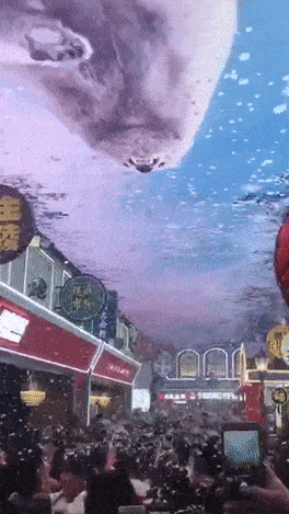 264_469竖版 竖屏gif 动态图 动图