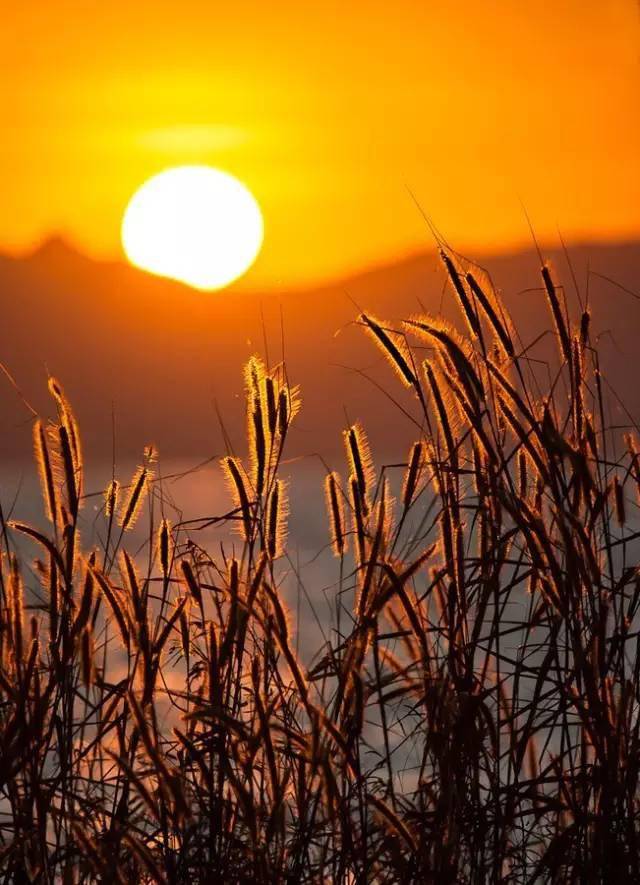 【夕阳正红】风景这边独好!