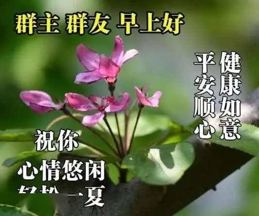 晚安表情包图片 晚安动态图片大全