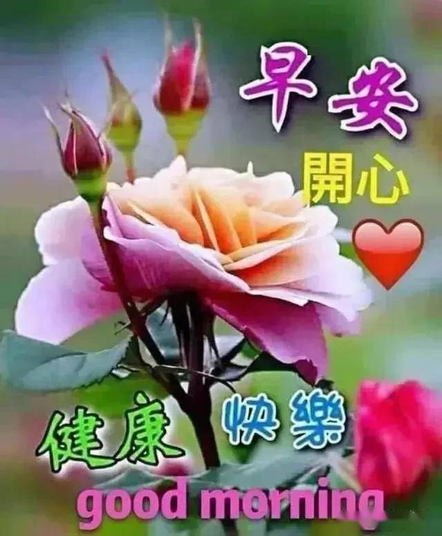 美丽的清晨,美丽的你,亲爱的,早上好