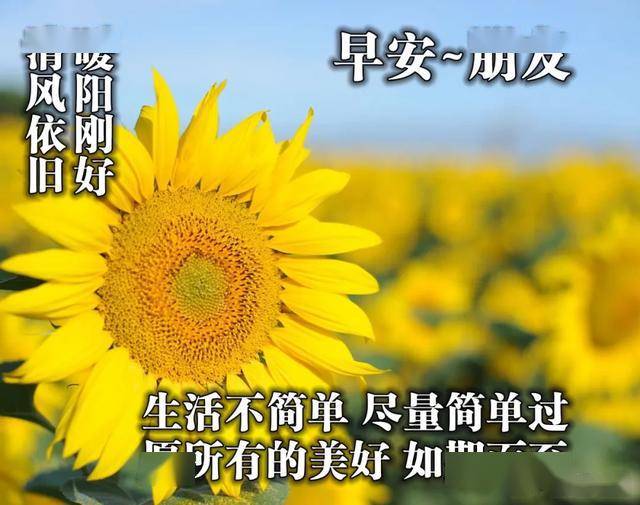 c47b96bf4ee3427bbc202c4a051c322f.jpeg