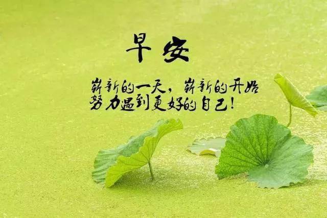你是善意的生活就报以善果你是乐观的未来就充满希望早安