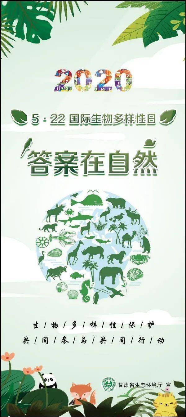 5世界环境日"及"第十五次联合国生物多样性大会(cop15)的召开,采取多