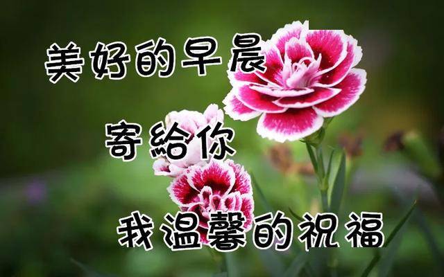 2020最漂亮早上好动态表情图片大全,早晨好动图美图大全