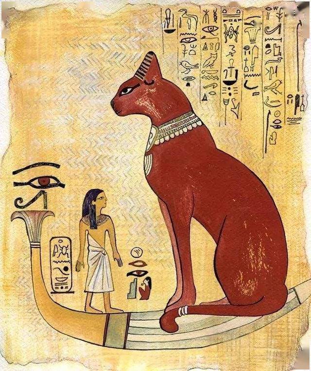 辟谣:家猫起源于中东地区而非古埃及!一部家猫驯化史可知道的