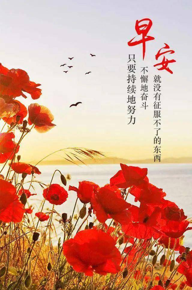 腾辉传媒早安心语|与其临渊羡鱼,不如退而结网