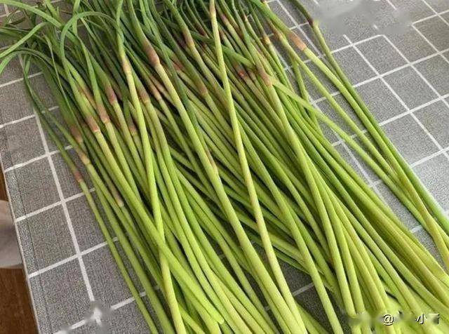 同样是蒜苔,"绿头"和"红头"有什么区别?知道后别再乱买了