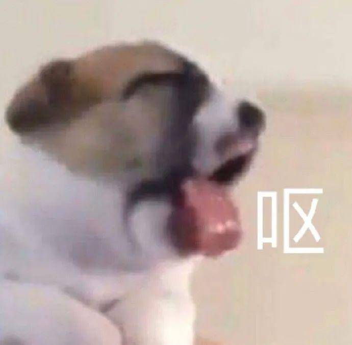 已是废狗一条