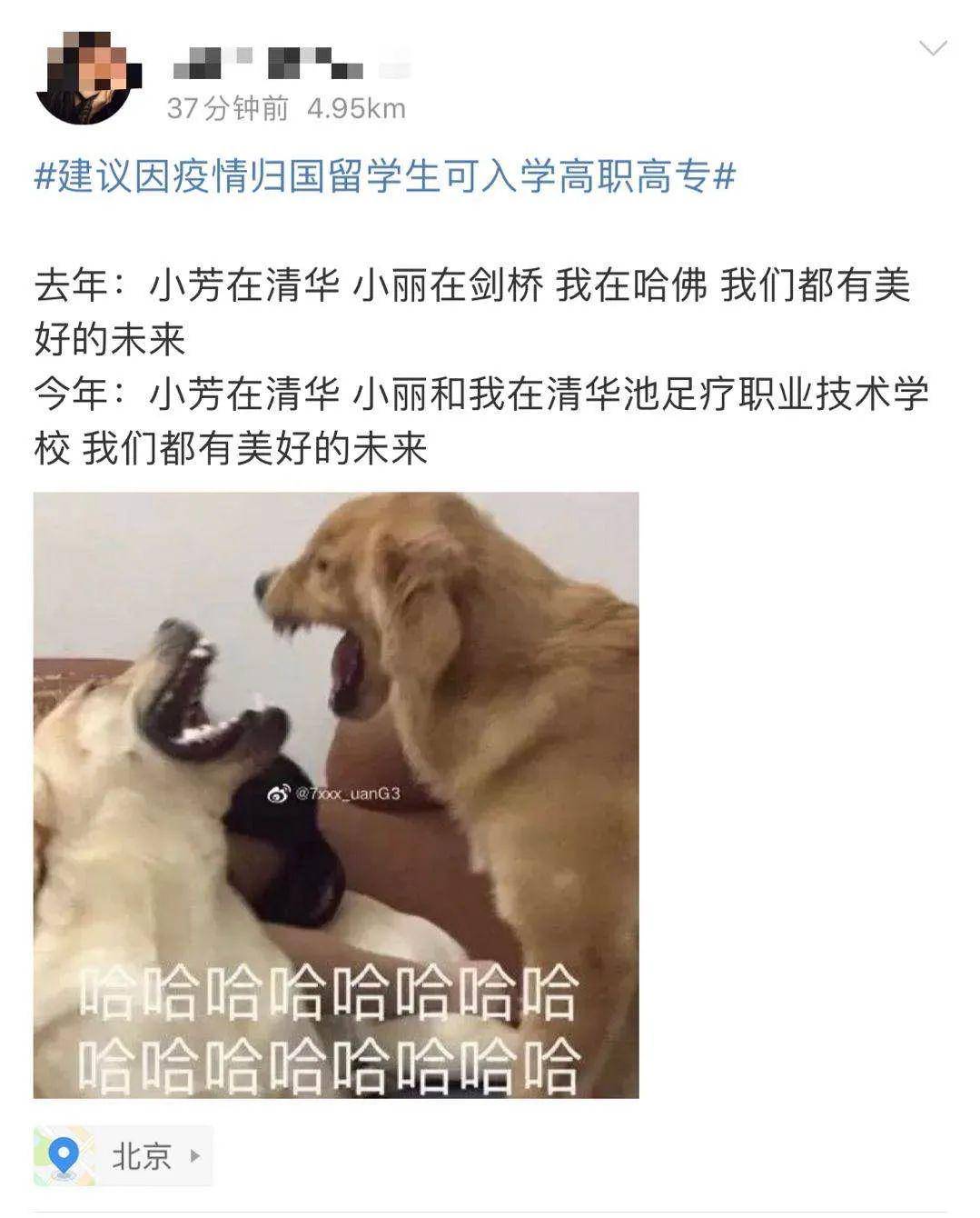 哈佛读蓝翔，麻省修机床，19届留学生真的要去新东方学烹饪了？