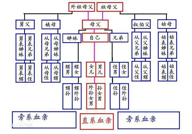 (直系血亲和三代以内的旁系血亲 )