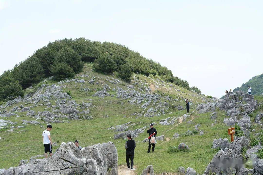 【镇安文艺】北羊山上的领路人