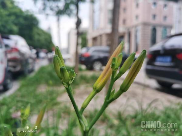 拍照怎么玩 4000万像素影像旗舰荣耀x10教你降维打击