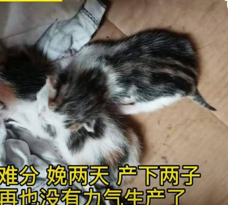 c610a8bff48d4cc89668ac8bb6f54ec0.jpeg