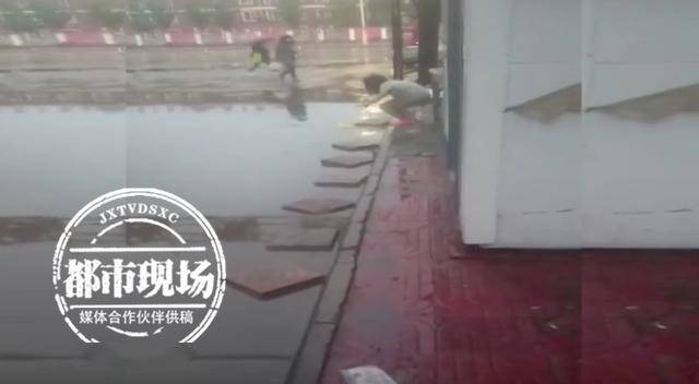 包头市区有多少人口_包头新都市区规划图(3)