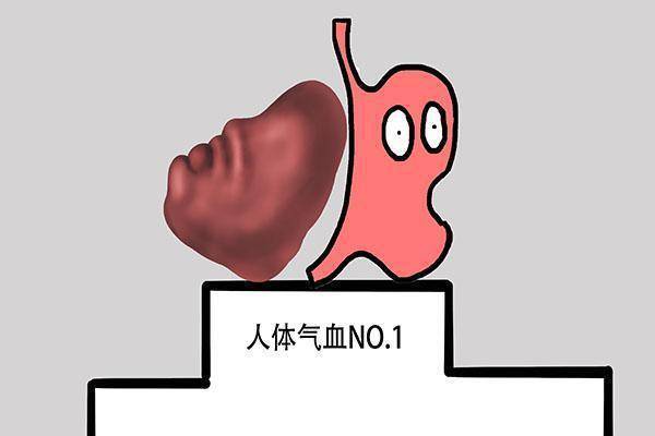 怎么变得有气血 d760934a4c3546b880fe2f3cc0ca95f7.jpeg