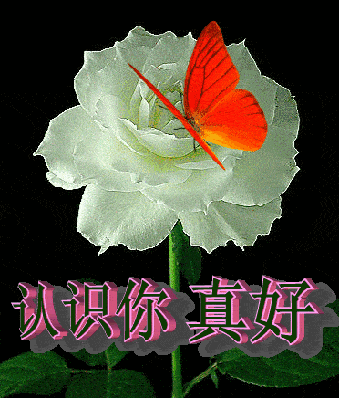 fe75b32d1b104356bd259b0152a9fe0c.gif