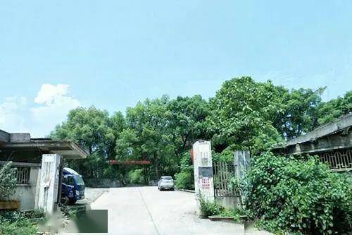 祁东县多少人口_祁东县河洲镇陈德保(3)