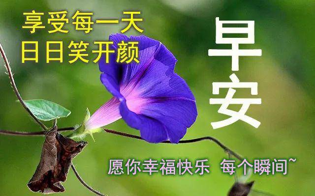 如何拥有好心境 8c5b452a4abf4279b3f1299ef2856c1b.jpeg