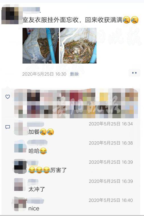 贵州一高校复课后，宿舍出现一窝鸟蛋！全体女生不敢动……