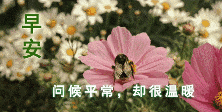 5月最新早上好祝福动态表情 微信最美早上好图片