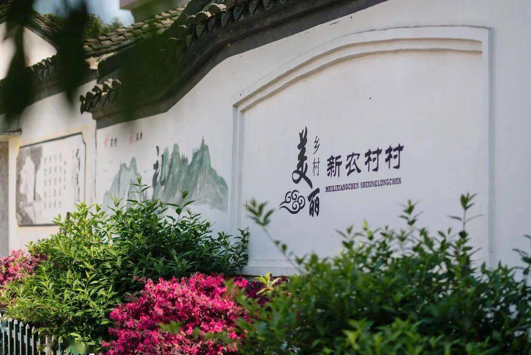 "凤鸣街道新农村这片的人,勤奋是出了名的,种桑养蚕插田,无一不拿手.