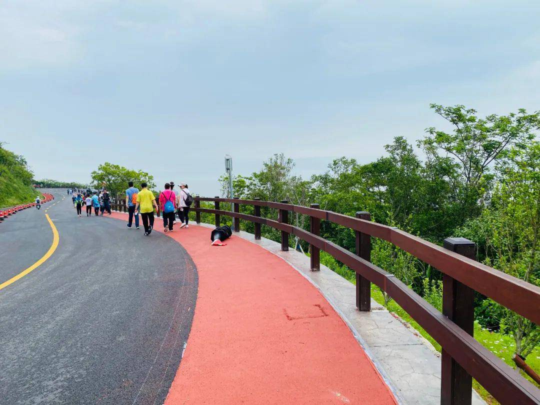 普陀最美公路-螺塘线,沿路饱览海景,茶山,山色.