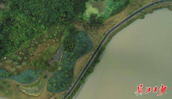 武汉2020年5月gdp_武汉2025年地铁规划图(2)