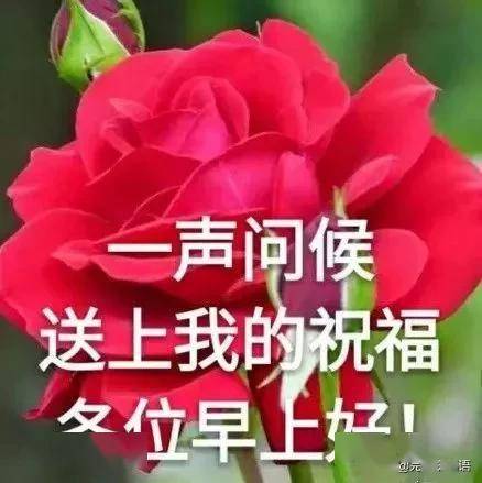 ec8bbcf4cc7d4c0ba392a14c7fc8655c.jpeg