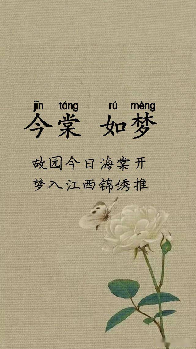 梦解齿落,寓意更新与子孙繁荣的奥秘 梦解齿落,寓意更新与子孙繁荣的奥秘