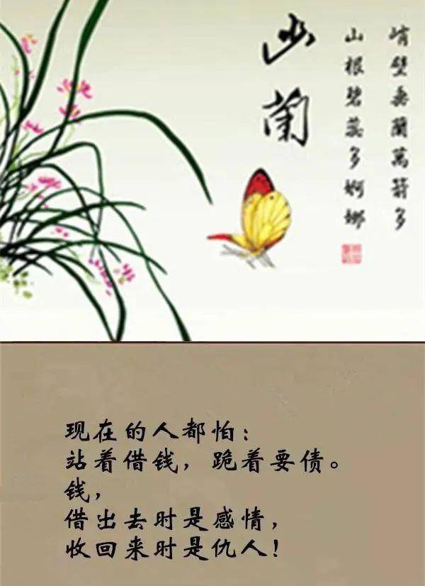 钱与情钱与人钱与命