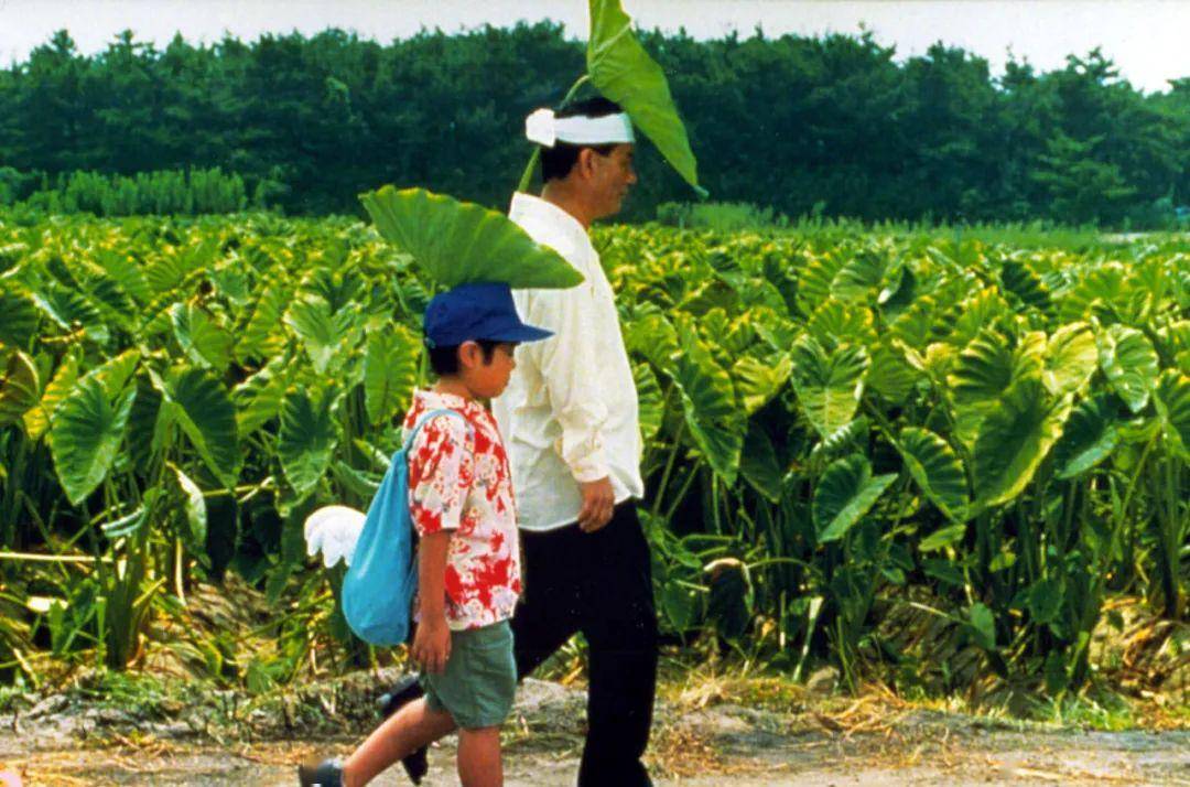 夏天 治愈 童年,还有比《菊次郎的夏天》更切题的电影吗?