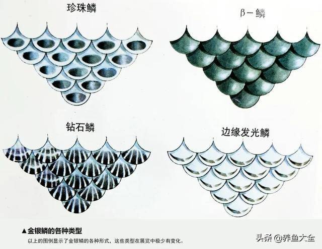 ����5��Ʒ�ֽ���