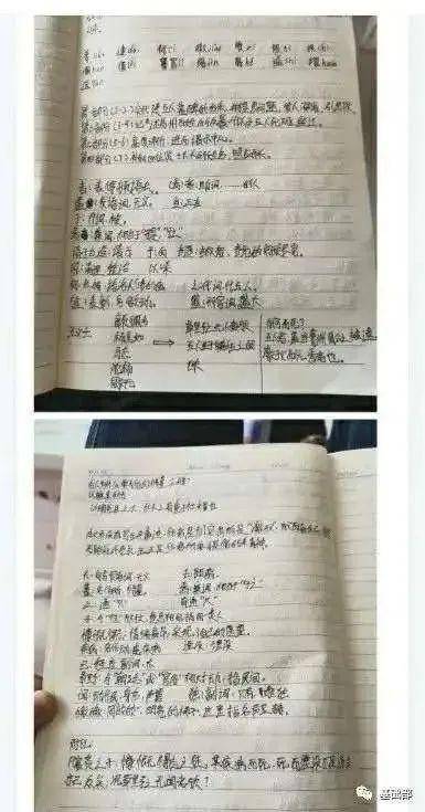 证书|进！毕业可拥有三本证书！有教师梦的同学