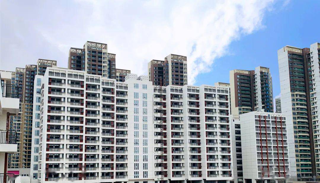 校园|你想了解的都在这里!南方科技大学附属中学