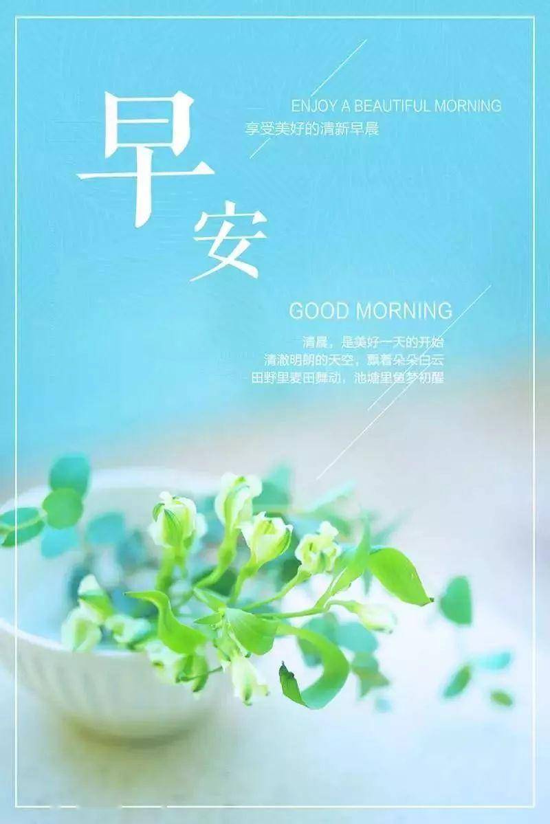 每日一句正能量人生感悟