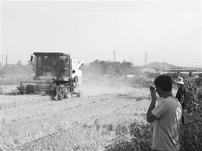 生产|荥阳1.5万台农机战“三夏”