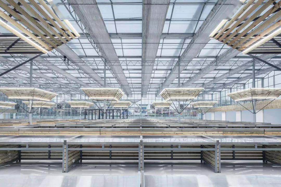 菜市场的GDP_菜市场简笔画