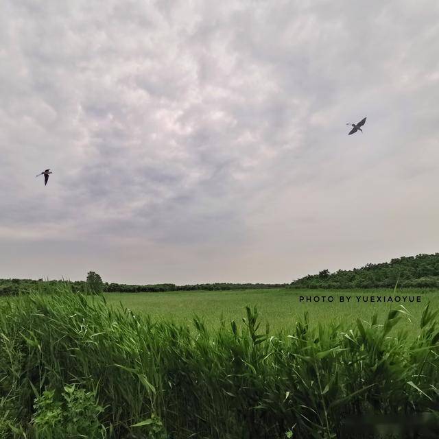 410104d3a2064a34bcecc60d85ffeed3.jpeg