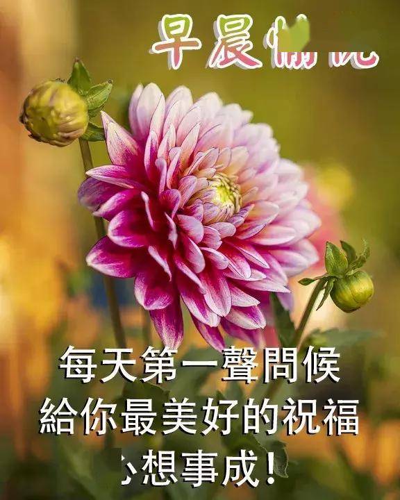 每天,第一个愿望送给你,愿你永远幸福又温馨,早安