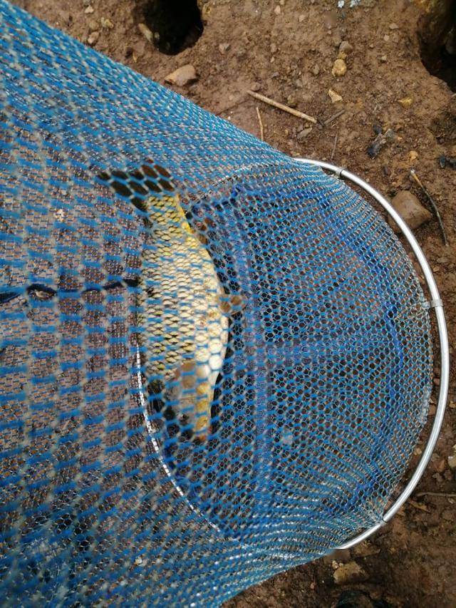 什么夜解惑成语_成语故事图片