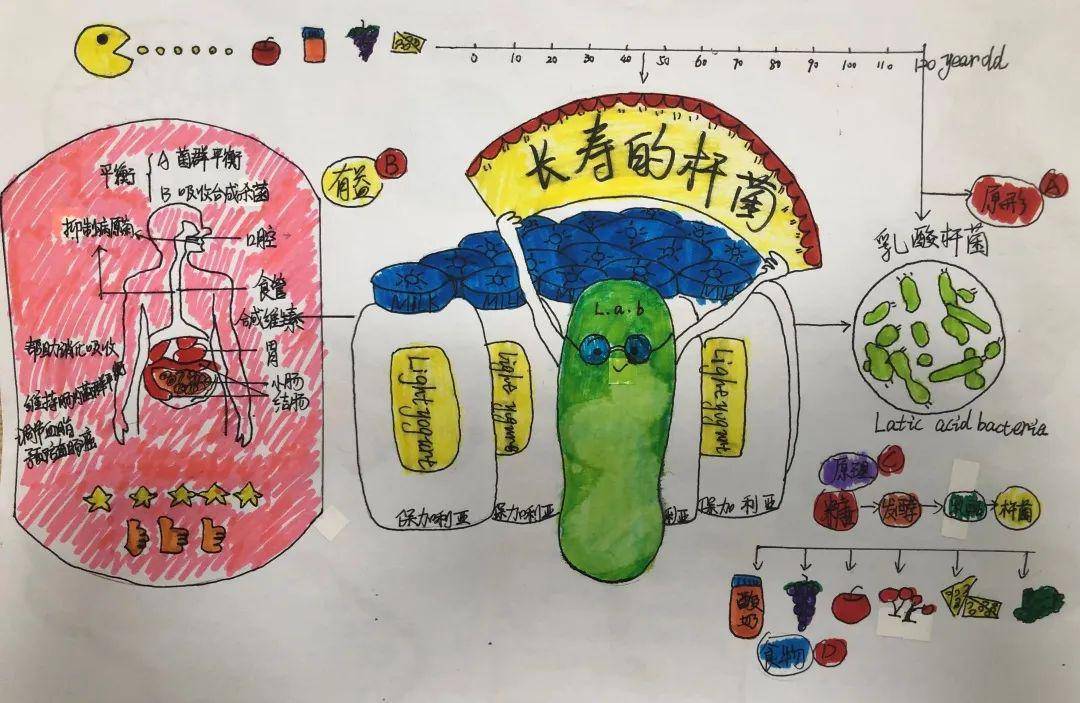 我为《细菌世界历险记》画插图——记六年级科学组校园读书节活动