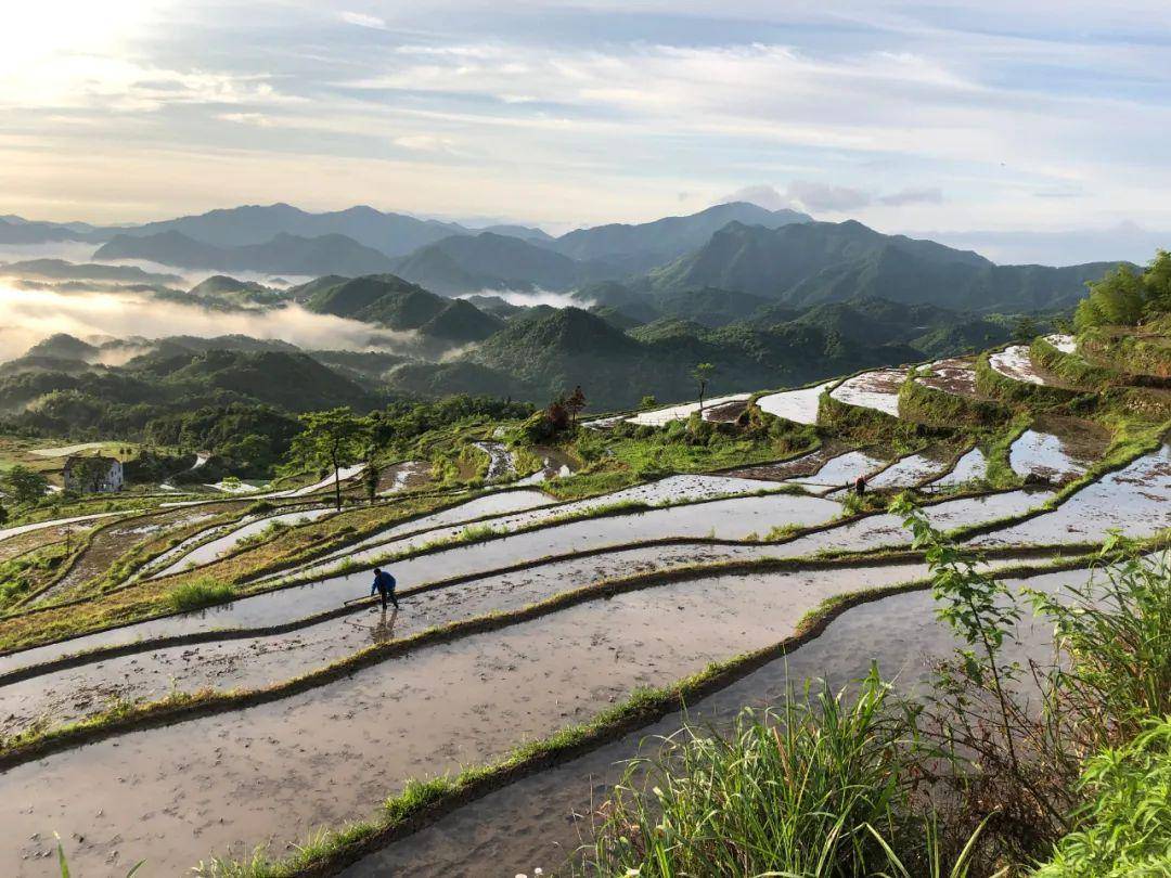 天台县泳溪乡北田村梯田上,又是摄影师如梭,这里的梯田已经开犁,镜面