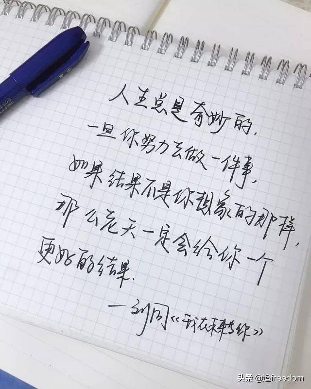 愿我们都能成为"不服输",但"输的起"的人